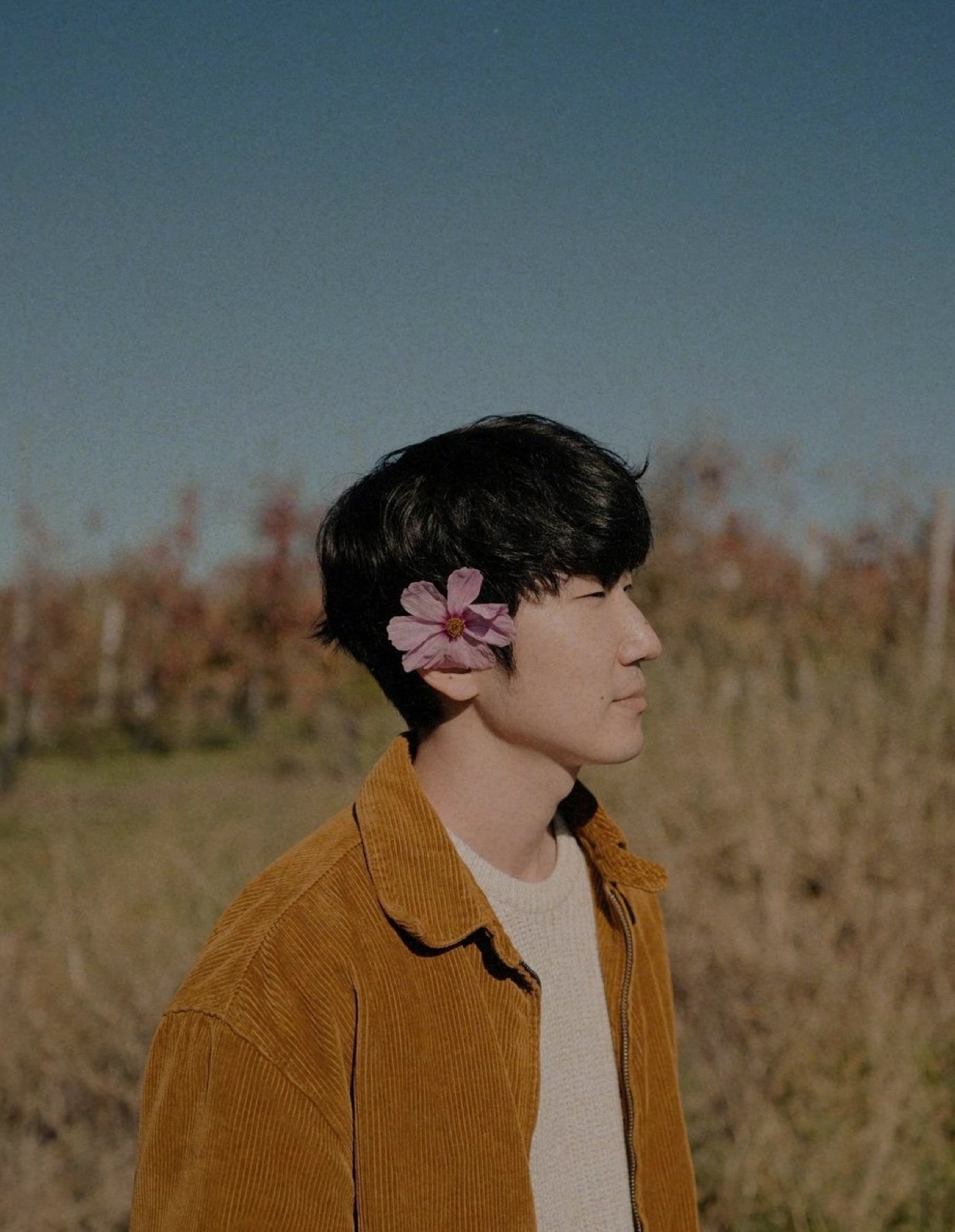 Jimmy Yoon